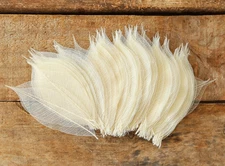 Real Leaves Natural Color 100 Pcs 4-5 Inches Skeleton Leaves Rubber Tree Natural