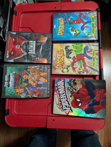 Mixed Animated DVD Collection: Spider-Man, Batman, He-Man