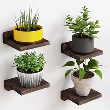 4 Pack 5x5 Inch Small Floating Shelf Rustic Wood Display Ledges for Wall