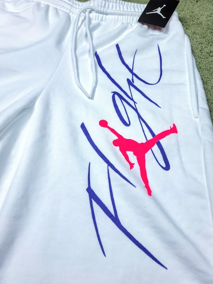 jordan retro 11 wings lite shorts