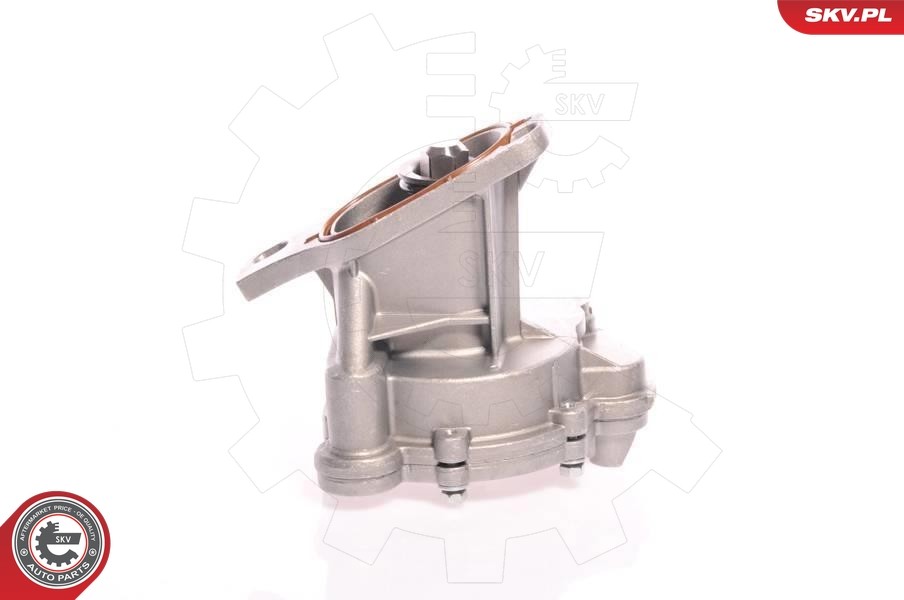 Pompe à vide de freinage ESEN SKV 18SKV006 pour moteurs VW