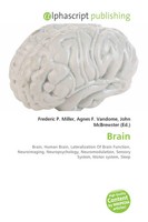 Frederic P. Miller (U. A.) | Brain | Taschenbuch | Englisch (2026)
