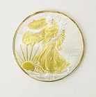 2009 US Mint American .999 1oz Silver Eagle Bullion Coin ~ AS SEEN ~ NO RESERVE