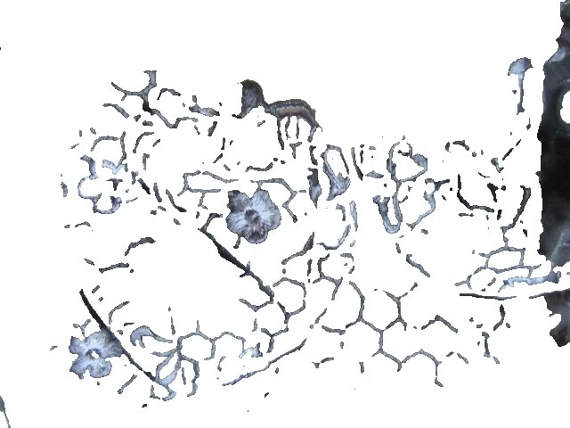 Corsés y Negro Nylon La Perla Bustiers para Mujeres