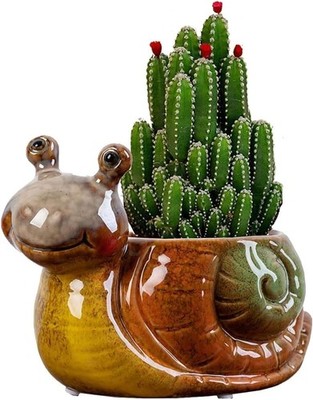 Ceramic Succulent Pot for Indoor Plants with Drainage  Snail Shaped Planter