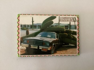 Arizona A 10000 pound Saguaro Cactus Crushed a Car Fridge Magnet X8