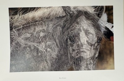 Judy Larson Red Horse S/N Lithograph L/E Hidden Image 102/3250 COA Sioux