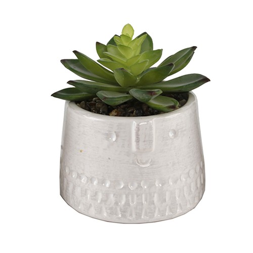 Flora Bunda Kunstpflanze Sukkulente in 4" Zylinder Cool Face Keramik Topf, 2 Stück - Bild 2 von 5