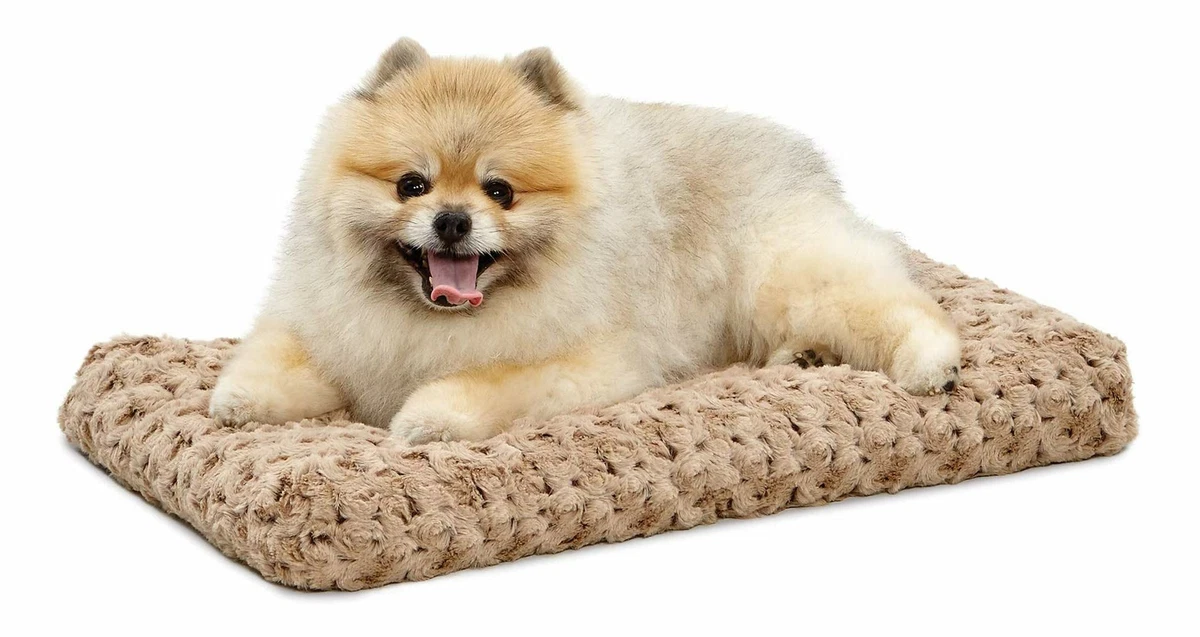 Midwest QuietTime Deluxe Ombré Swirl Pet Bed 36-inch • Price