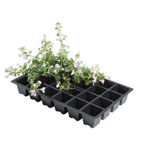 Inserts  24 Cell Seed Tray Pack of 5 For Plants Gardening Growing Gardening