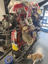 Cadet Racing Go Kart 60 Cc Ogden Tuned Engine