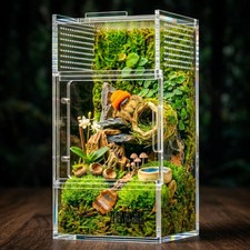 Exquisite Acrylic Jumping Spider Habitat - 3x3x6 Inch Terrarium with Magnetic...