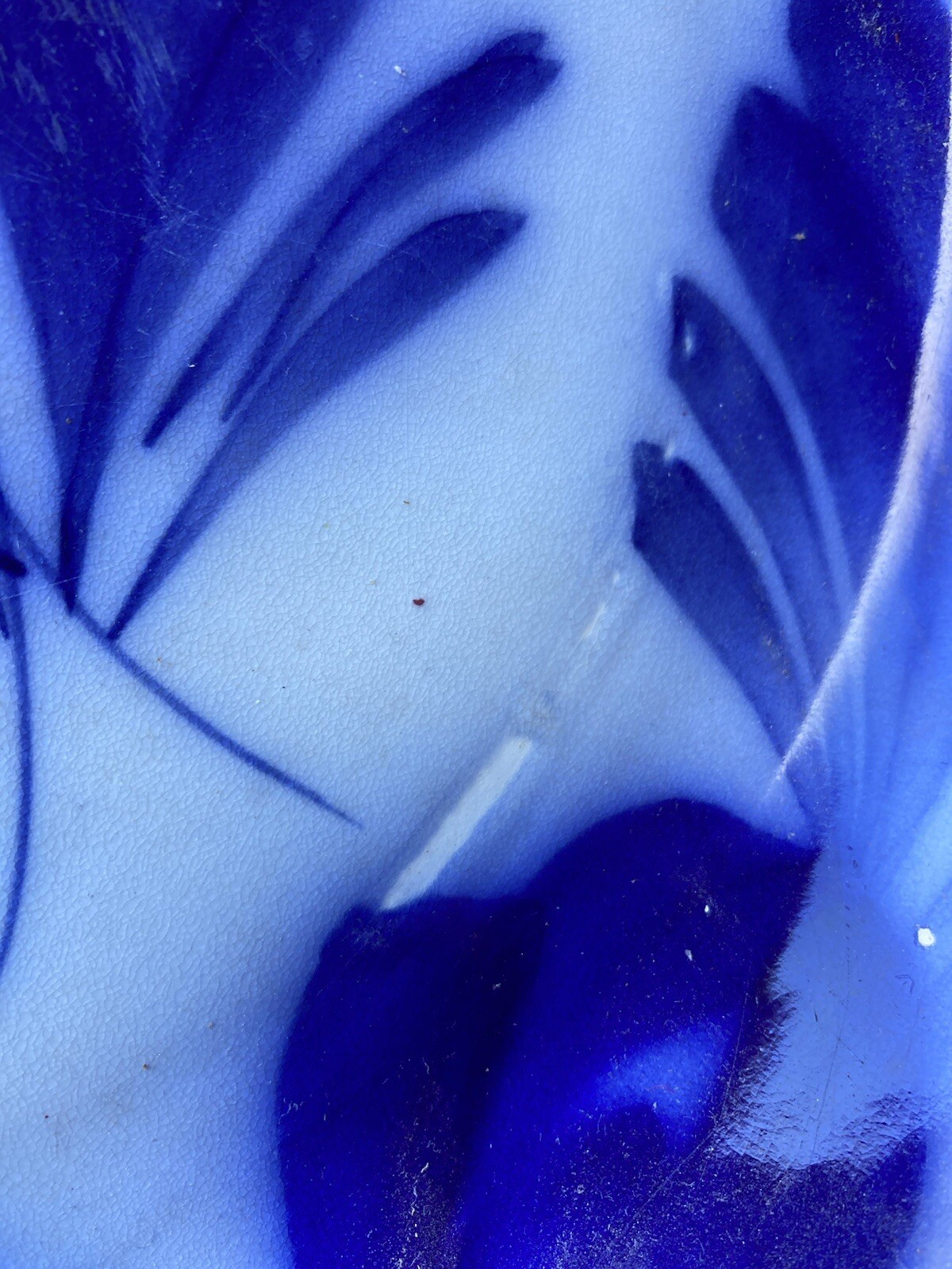 Picture 4 of 7
