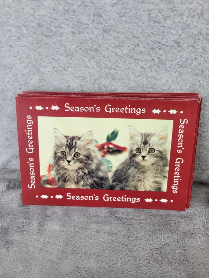 Juego de 10 tarjetas de felicitación de papel Magic Season gatito borde rojo con sobres Foto 2 de 4