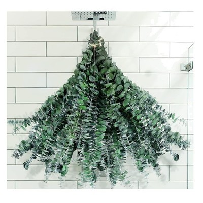 30Pcs Dried Eucalyptus Stems, 17'' Real Preserved Eucalyptus Plant for Shower, Fr