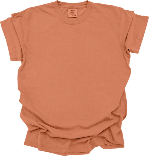 Blank Comfort Colors 1717 Women’s T-Shirt (Multiple Colors) - Picture 63 of 124