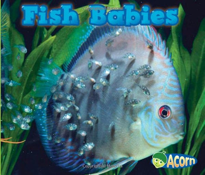 Fish Babies (Acorn: Animal Babies) - Paperback NEW Catherine Veitc 2013-07-01