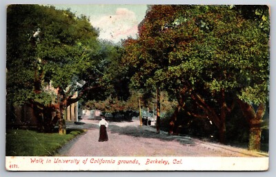 University Of California Campus Grounds Lady Berkeley CA C1918 DB Postcard AB7