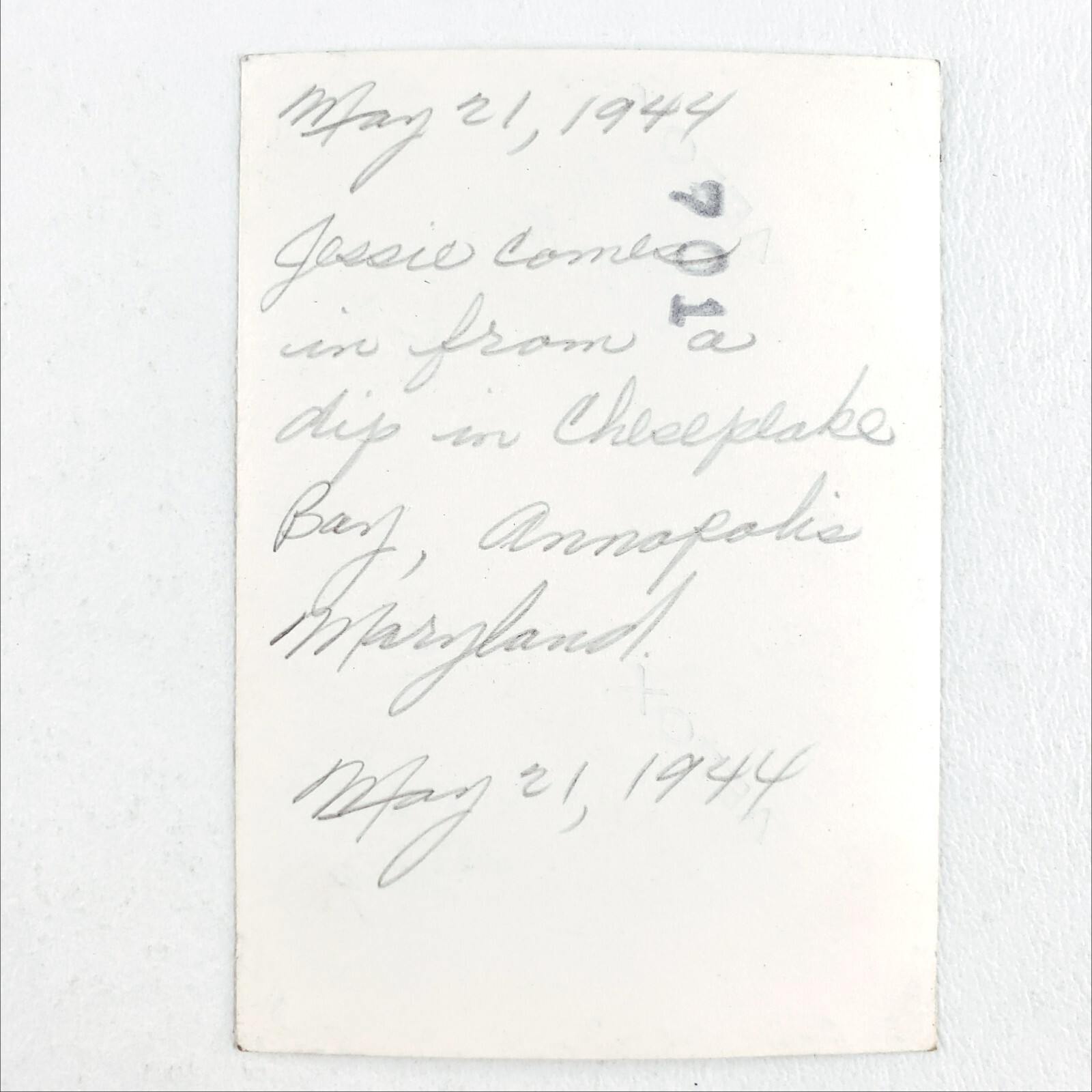 Stunningly Adorable Beach Babe Photo 1940s Swimsuit Woman Chesapeake