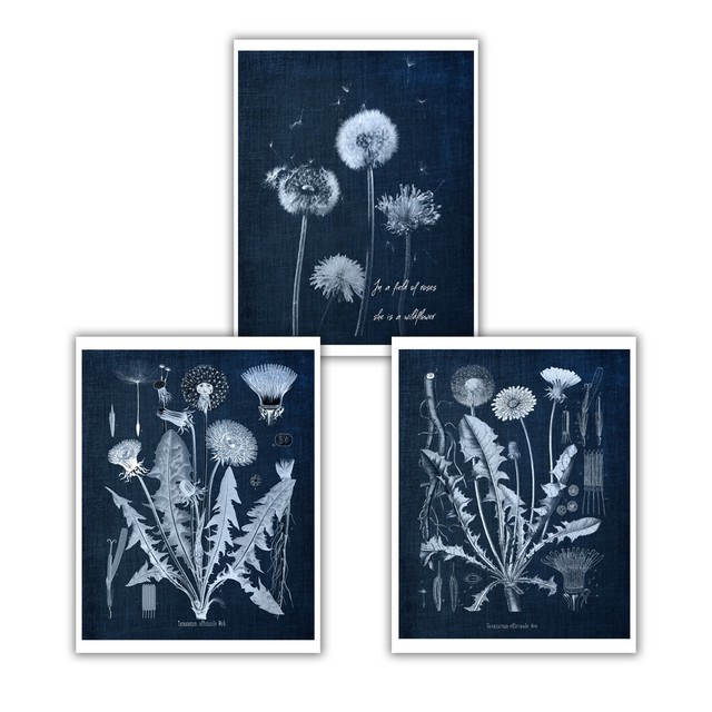 Dandelion Wall Art set of 3 unframed navy blue nursery she is a wildflower decor eBay