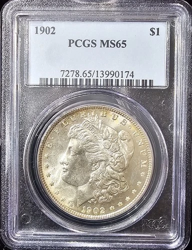 1902 Morgan Dollar MS-65 PCGS VIDEO