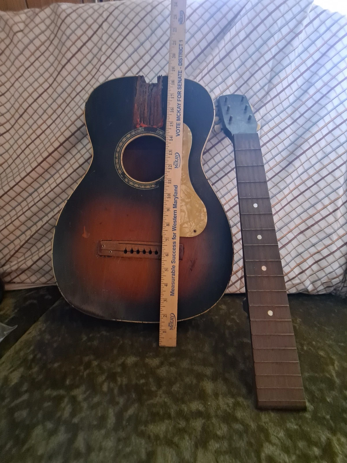 Picture 19 of 19