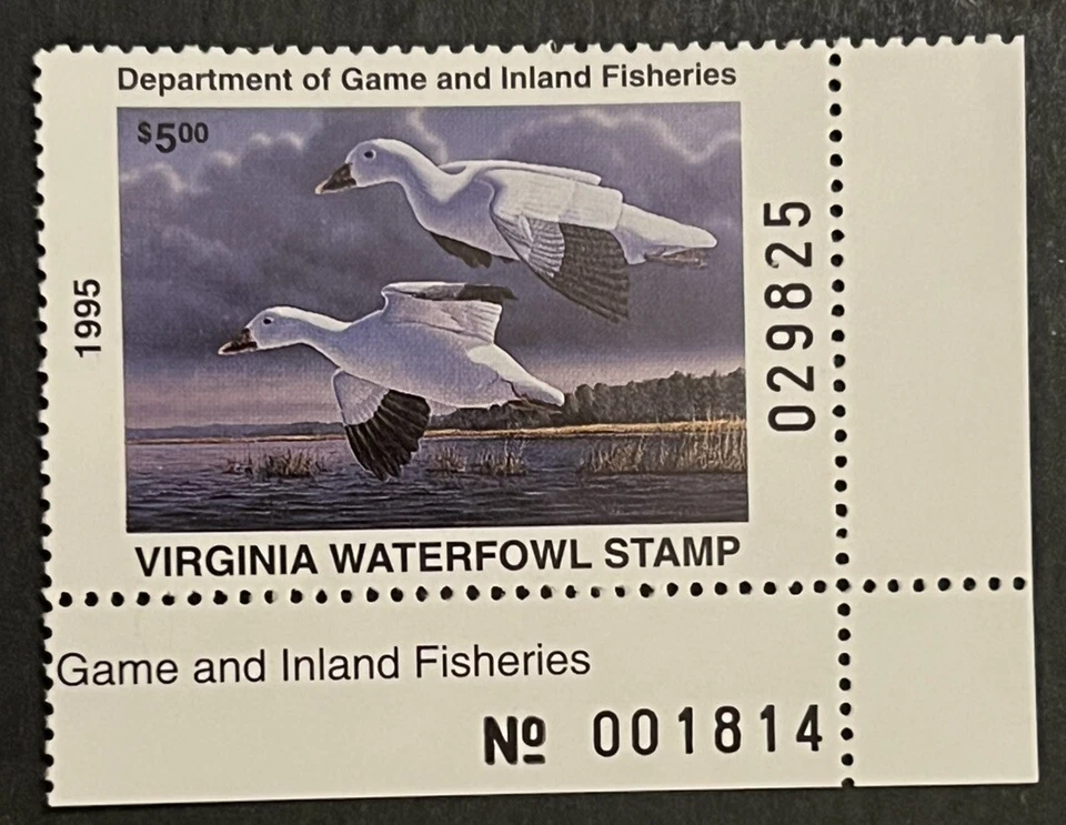 Travelstamps: 1995 Virginia State Duck Stamp - $5 - Mint MNH OG Numbered - Image 2 of 4