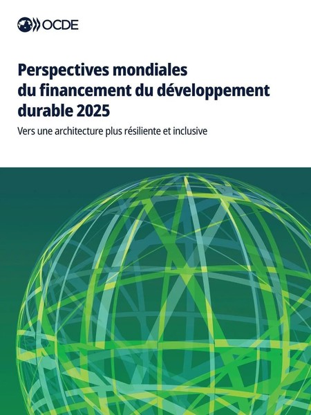 Perspectives Mondiales Du Financement Du DéVeloppement Durable 2025 Oecd Buch-image