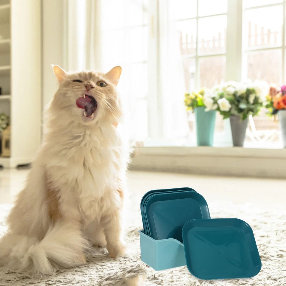 Katzenfutter Schale Futterschüssel -Fütterungsschalen Tiernahrungsteller - Bild 4 von 4