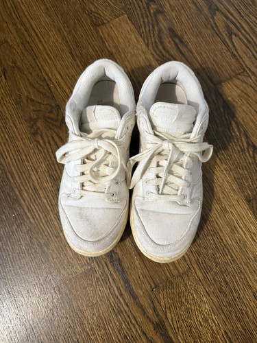 Cream Fabric Nike Low Dunks Size 6.5 Special Equality Edition