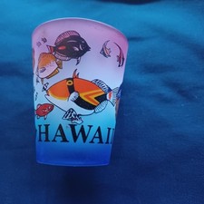 Collectible Destination Souvenir Vacation Hawaii Shot Glass