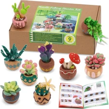 Needle Felting Kit, 6/9 Pcs Succulent Needle Felt Beginner Kits, Wool Felting Ki