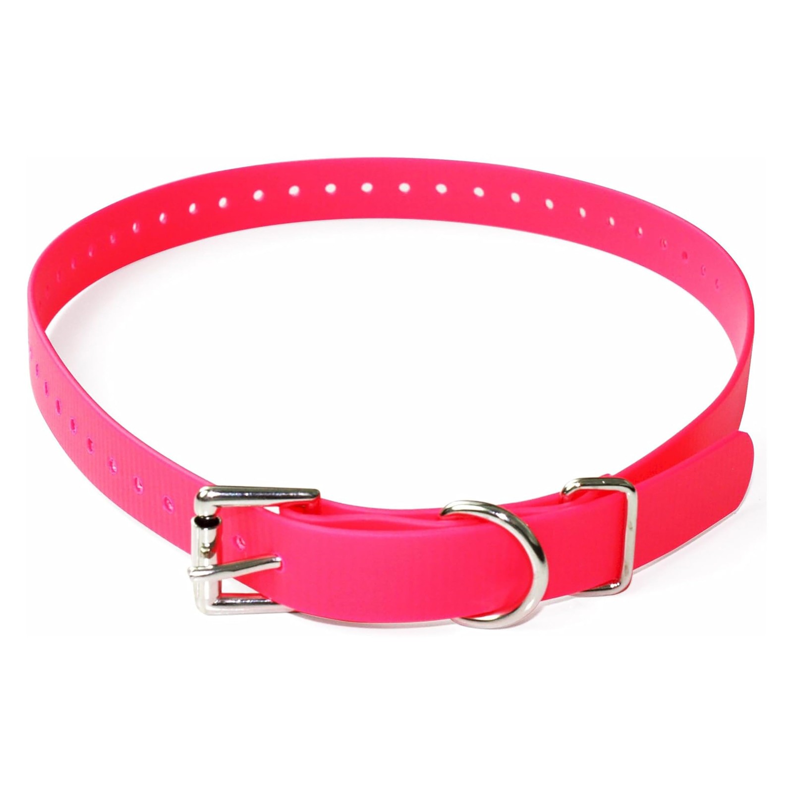 Collier chien inodore en BioThane pour stopper les mauvaises odeurs de collier mouillé