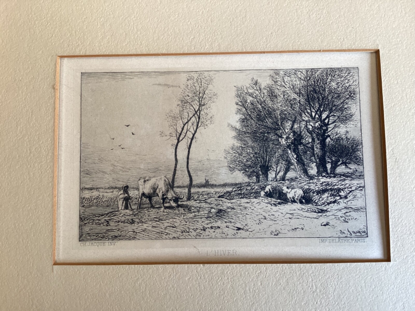 Picture 5 of 10