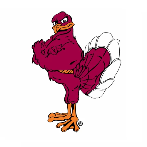 Virginia Tech Hokies NCAA Weather Resistant Vinyl Die Cut Sticker Decal 06