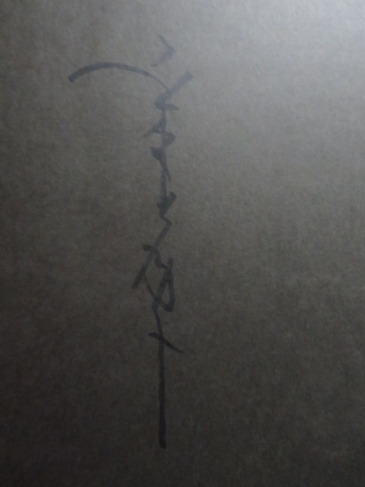 Picture 4 of 9