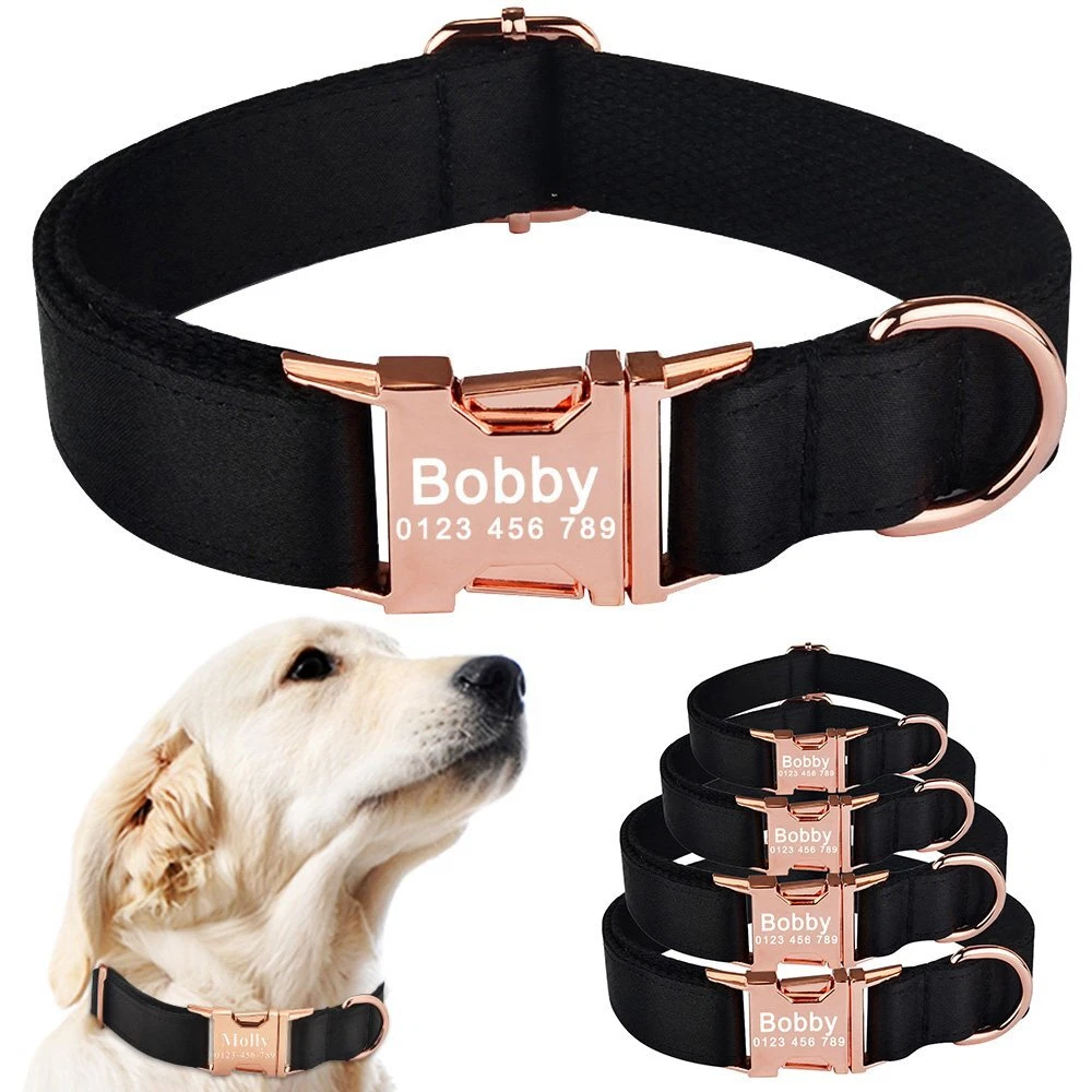 dog collar with name