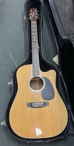 Takamine Lawsuit F340 | eBay
