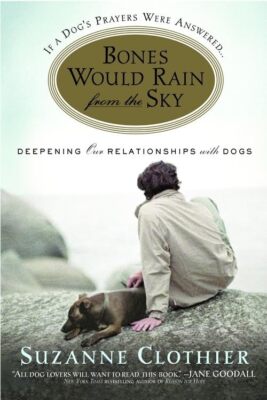 Bones Would Rain from the Sky, Clothier, Suzanne 9780446696340 Free Shipping-,