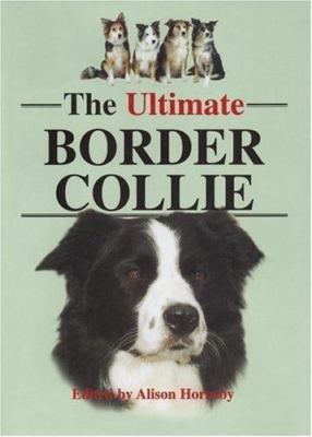The Ultimate Border Collie