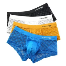 Sexy Mesh Underwear Mens Boxers Transparent Male Shorts Sexy Underpants Boxer