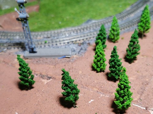 50 Dark Green and Medium Green Firs, Conifers, 48mm Tall - Picture 9 of 12