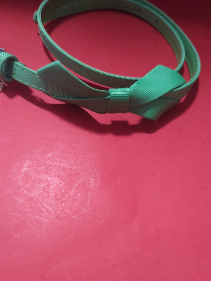 Cinturón Lilly Pulitzer Pajarita XS/S Verde - Anillo Pensamiento Rosa Elástico Nuevo (Z1) Foto 3 de 4