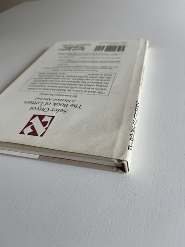 The Book of Letters: A Mystical Hebrew Alef-bait 15th Anniversary 2nd Edition HC - Foto 6 di 15