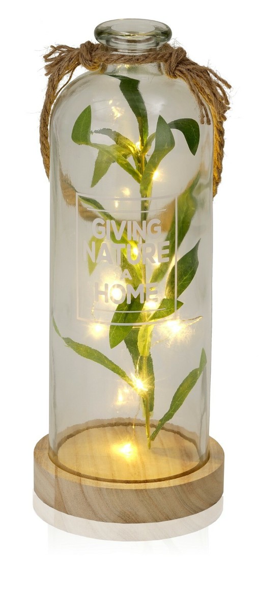 BRUBAKER Lichterflasche Mit Farn – 10 LED-Lichter, 23 Cm, Zum Aufhängen, Batteriebetrieben, Warmweiß, Dekoration Für Garten & Wohnung