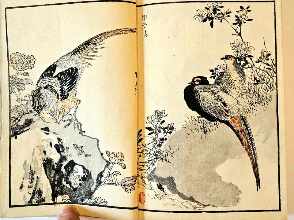 Kono Bairei (1844-1895) Illustrated Album of One Hundred Birds book 1 of 3 c1881 - Image 3 of 4