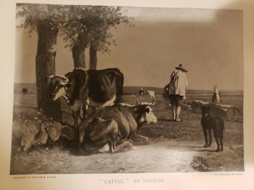 Troyon, Cattle (Half-tone) 1896 11"x7" - Bild 1 von 2