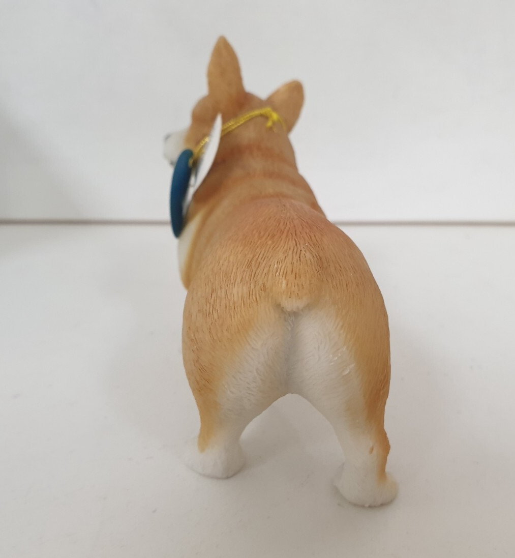 Picture 6 of 20