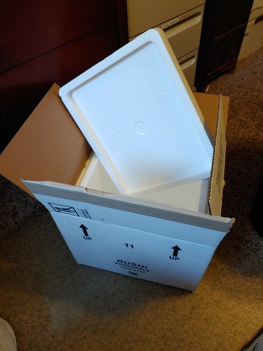 Styrofoam Insulated Cooler Shipping Box - 2 Ice - 14.5 x 12.5 x 13