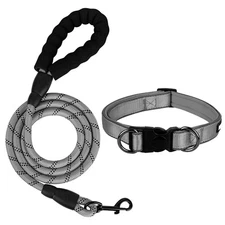 Heavy Duty Dog Leash Set, Gray, Small, Reflective Collar, 5FT Padded Nylon